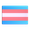transgender flag